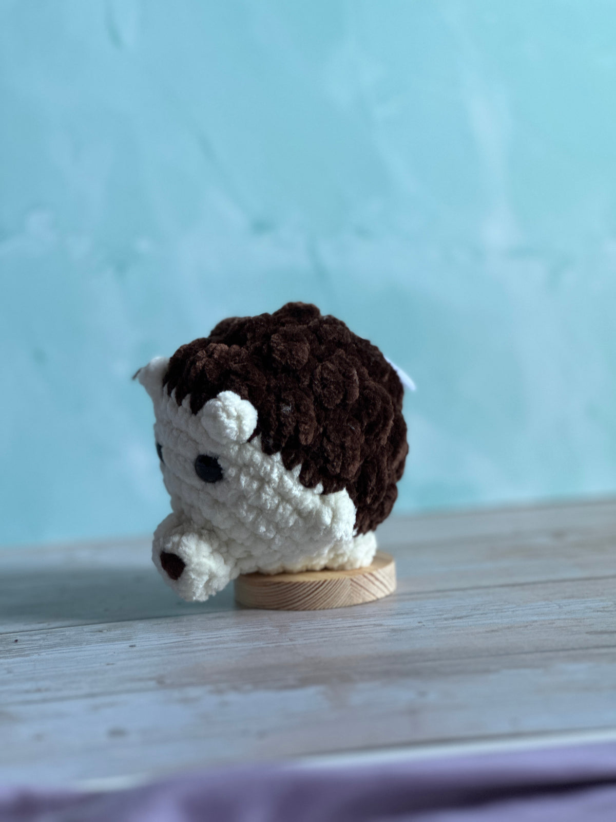 Hedgehogs