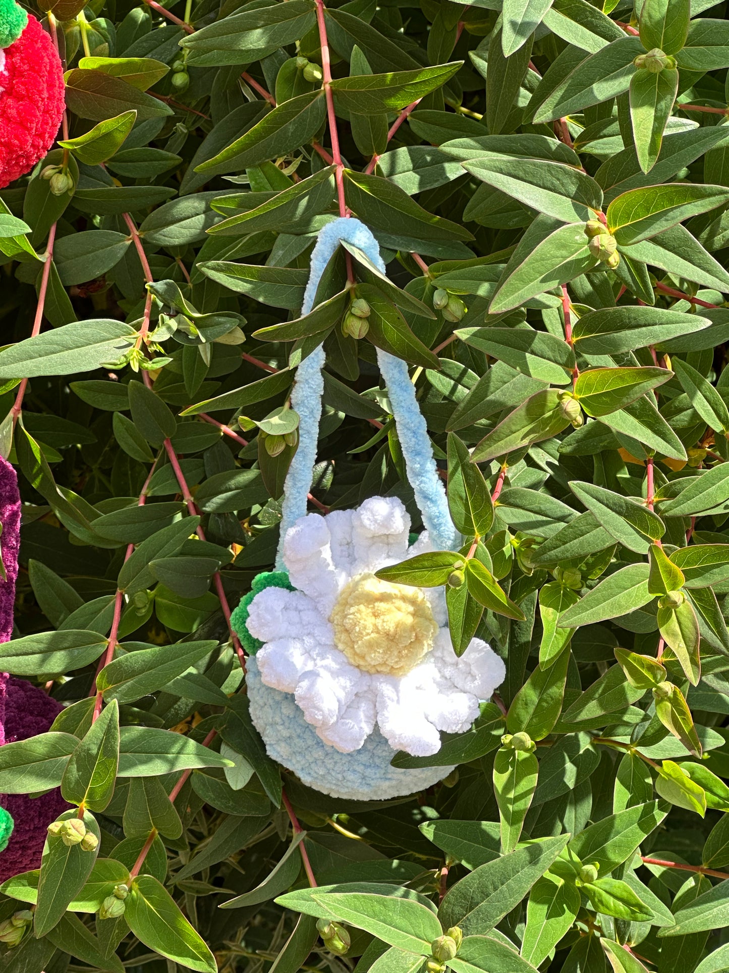 Hanging Flower Pots