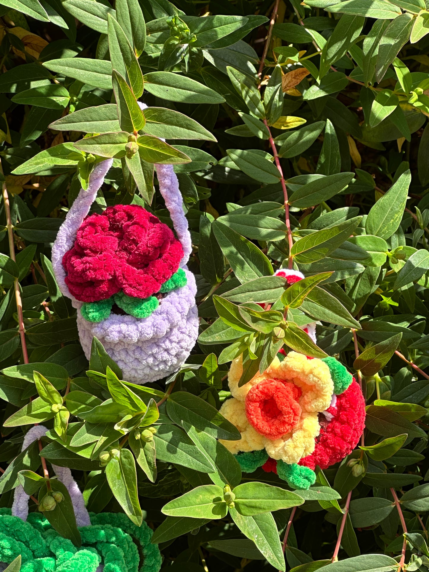 Hanging Flower Pots