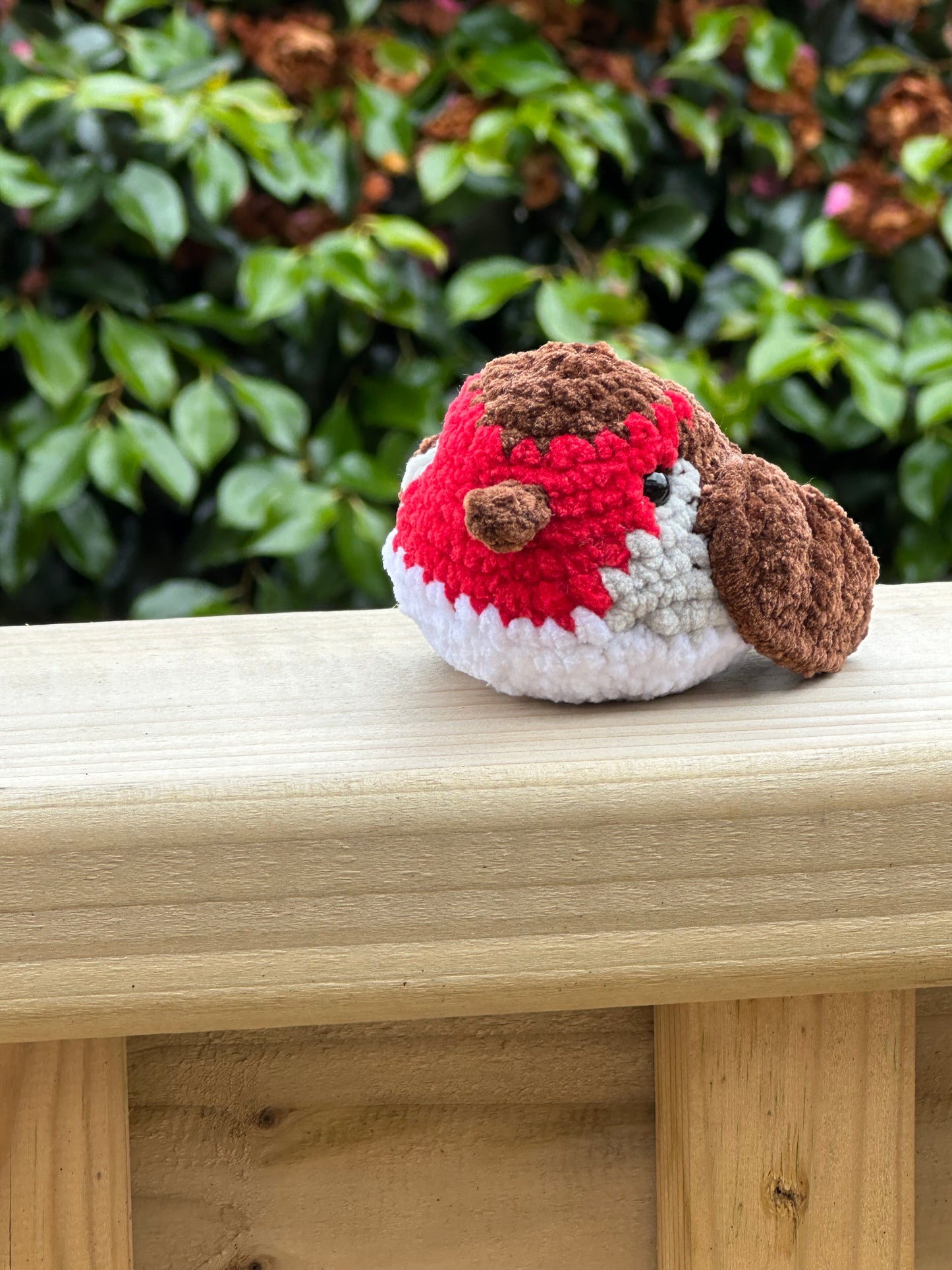 Little Robin Red Breast