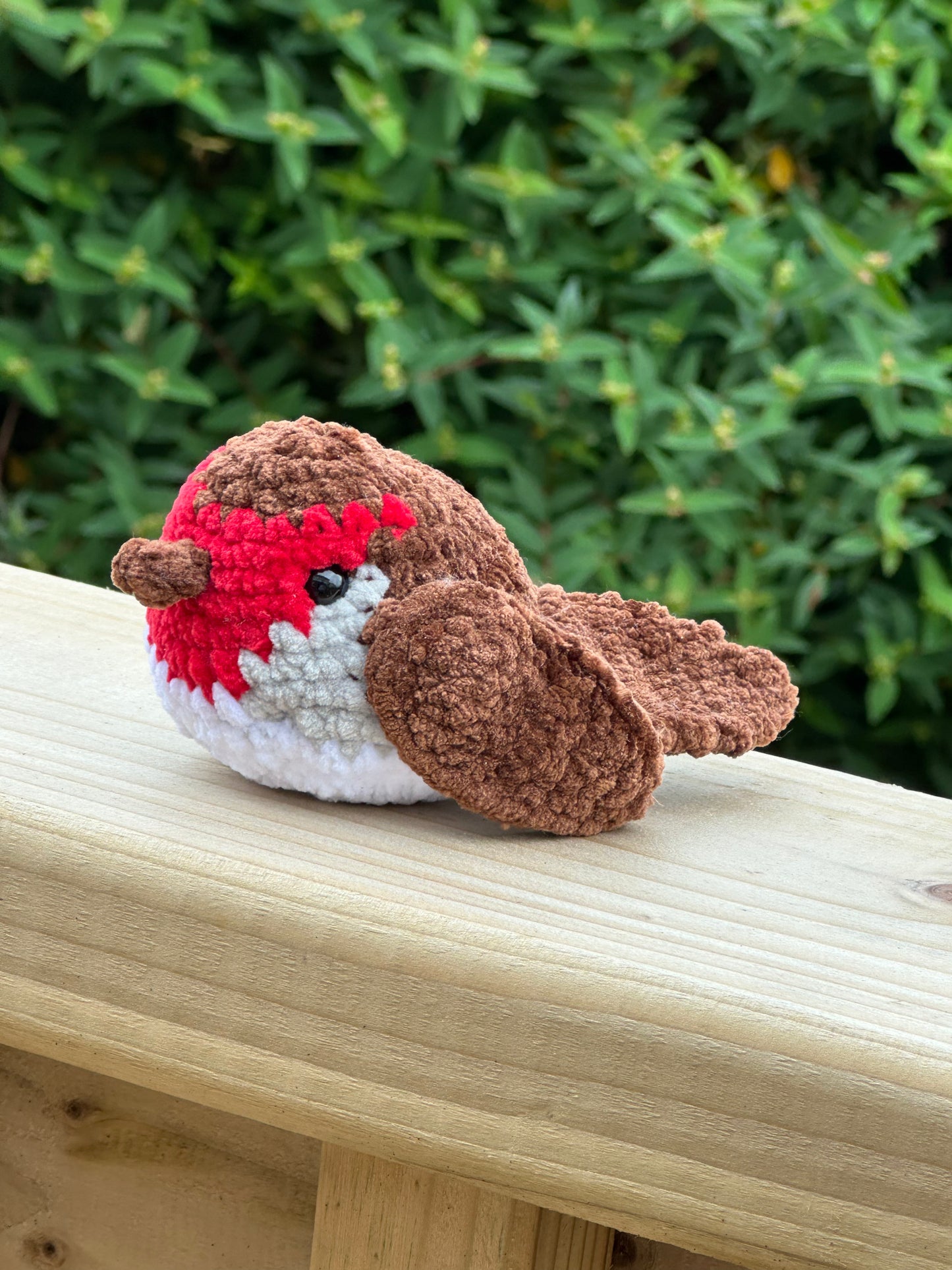 Little Robin Red Breast