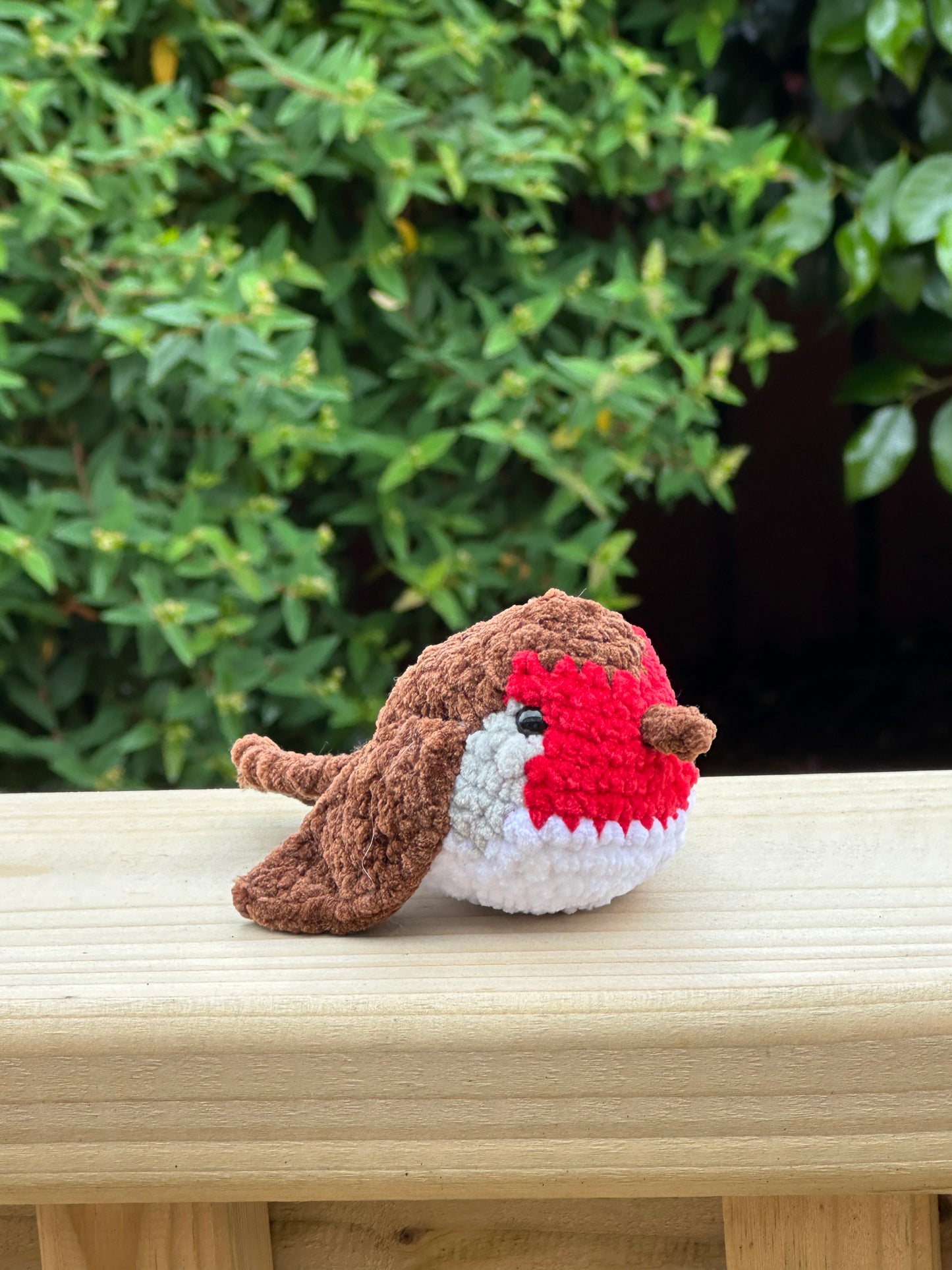 Little Robin Red Breast