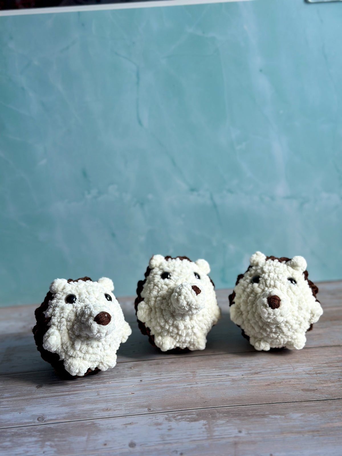Hedgehogs