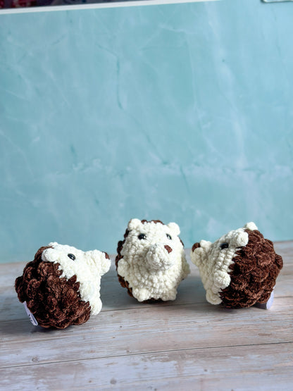 Hedgehogs