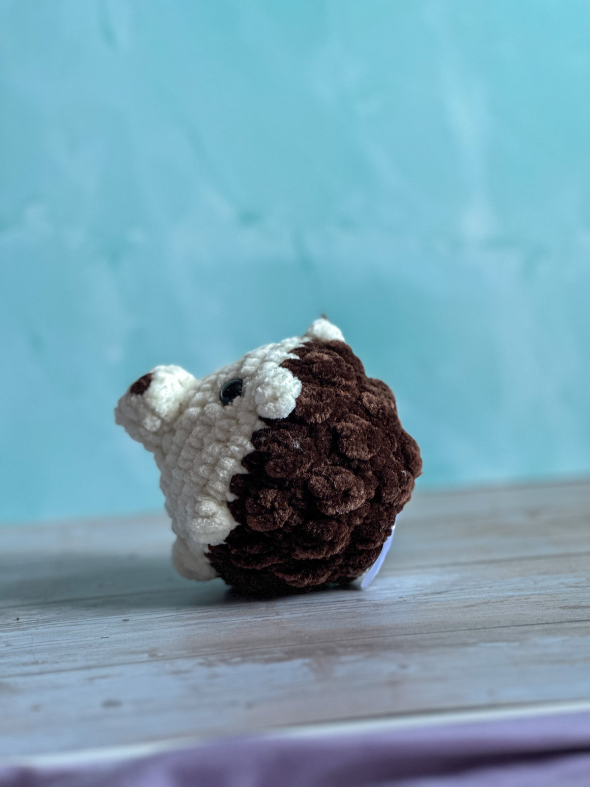 Hedgehogs