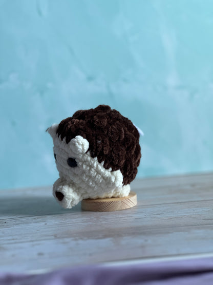 Hedgehogs
