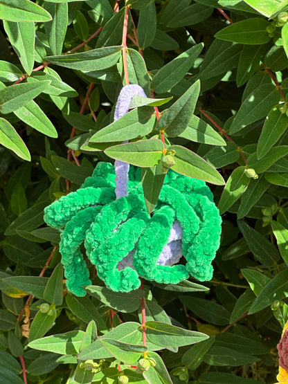 Hanging Plants
