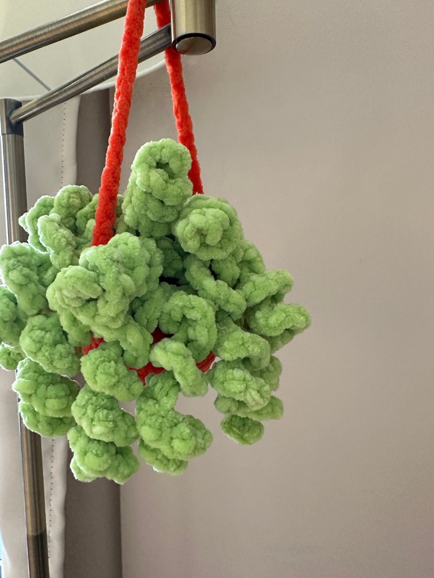 Hanging Plants