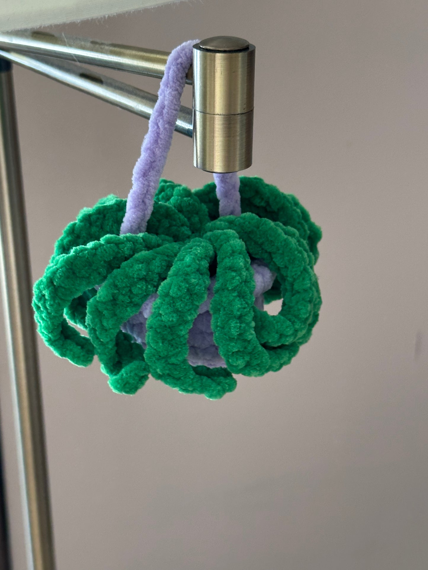 Hanging Plants